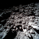 Ryugu, as seen by Rover-1B.